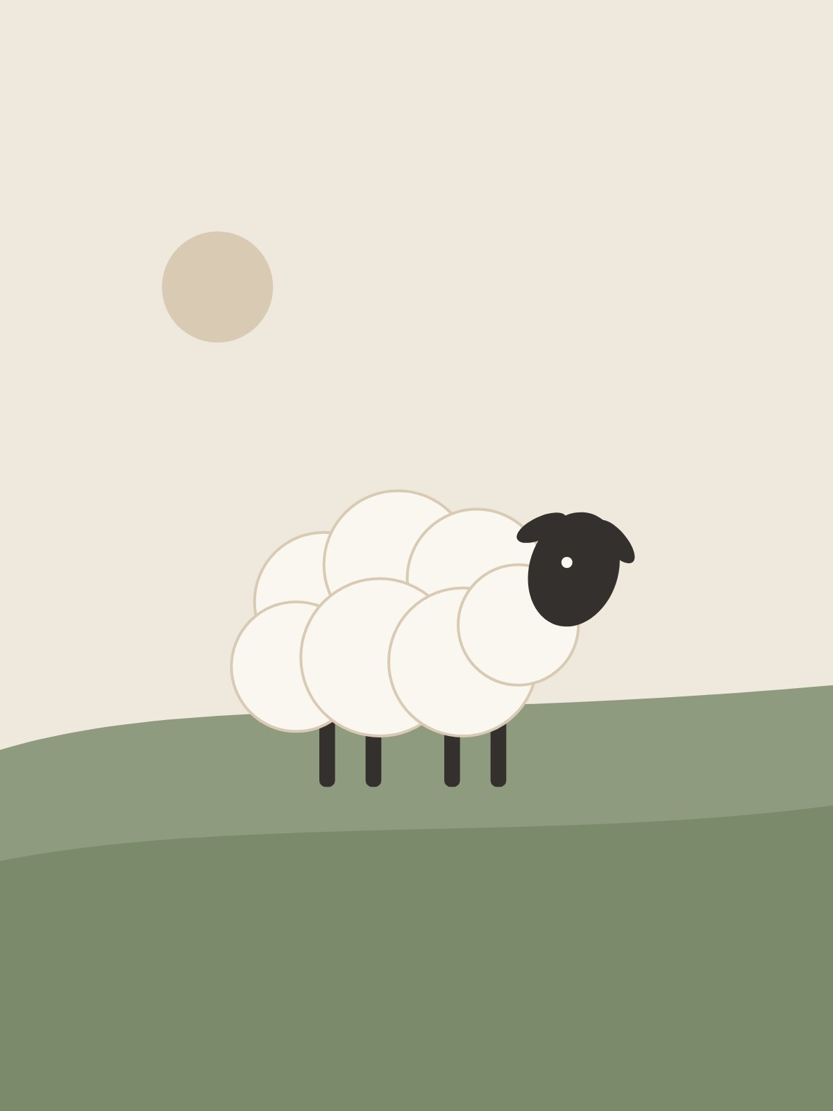 Meadow Sheep